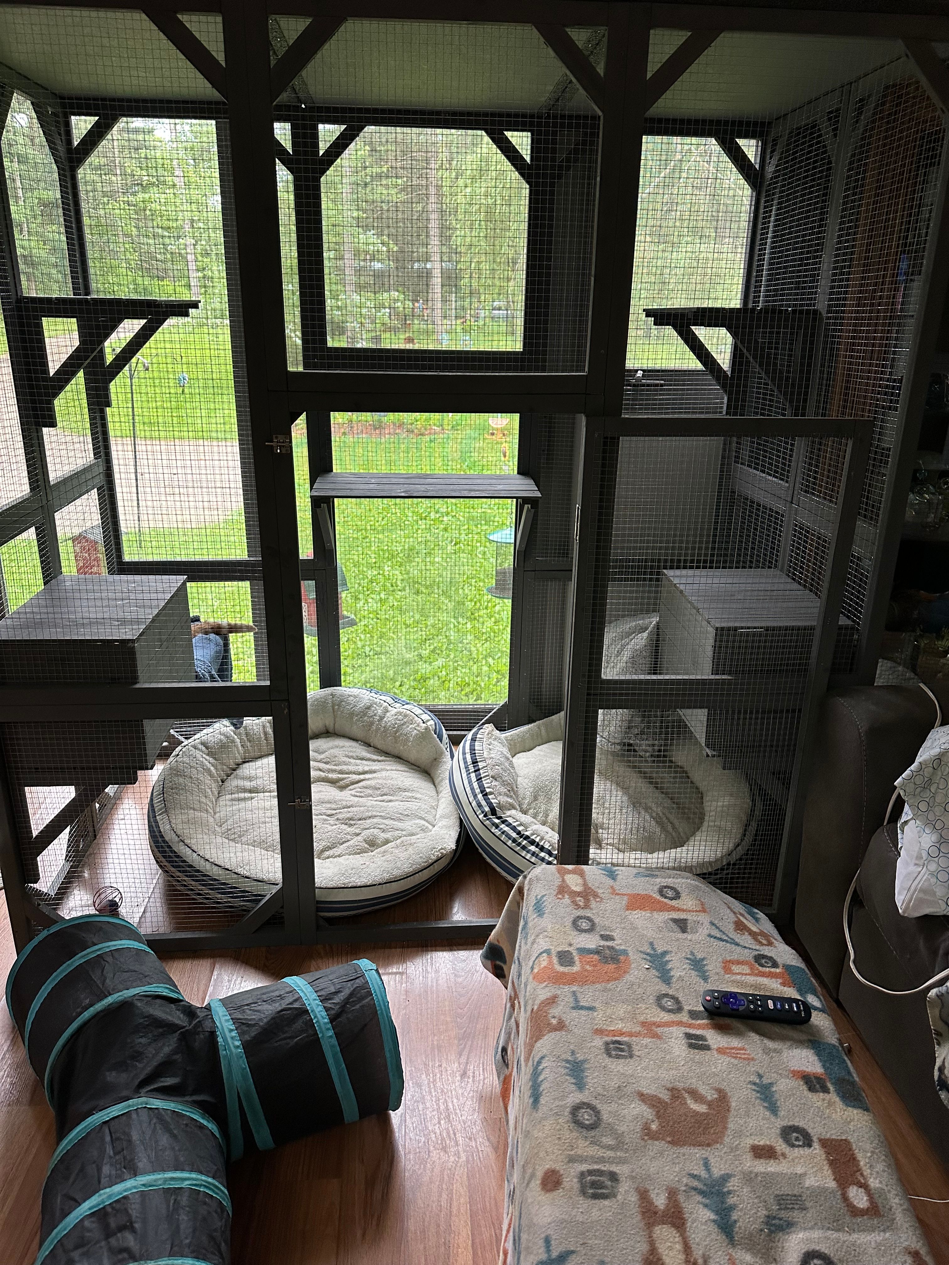 Healing Hearts Cat Sanctuary