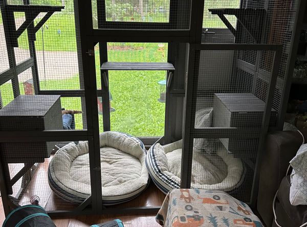 Healing Hearts Cat Sanctuary