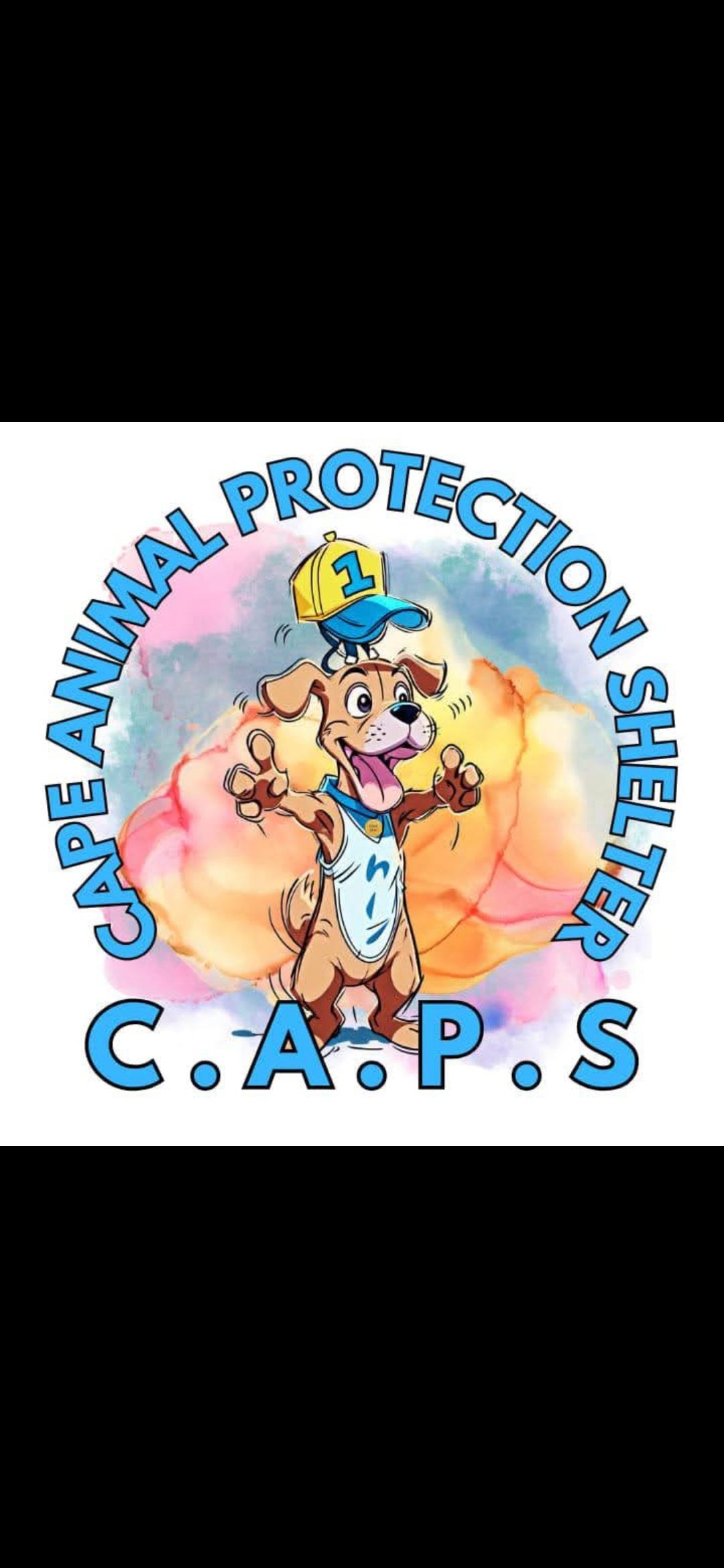Cape Animal Protection Shelter