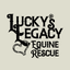 Luckys legacy equine rescue