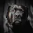 JDC Rescue (Jack Dog Center)