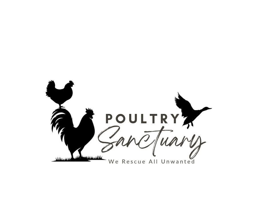 Poultry Sanctuary