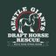 GGD Horse Rescue