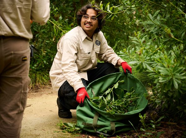 Cultivating Community