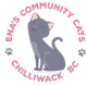 Ena's Community Cats