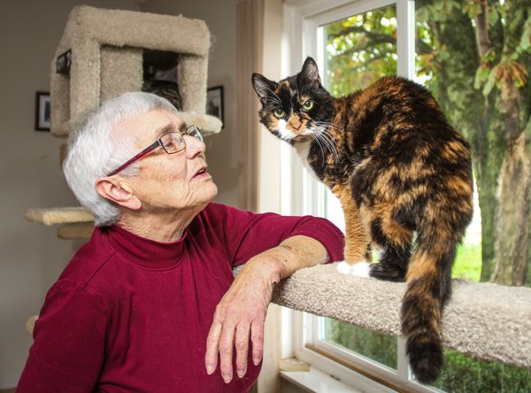 Ena's Community Cats