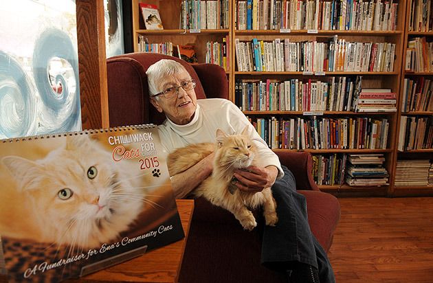 Ena's Community Cats