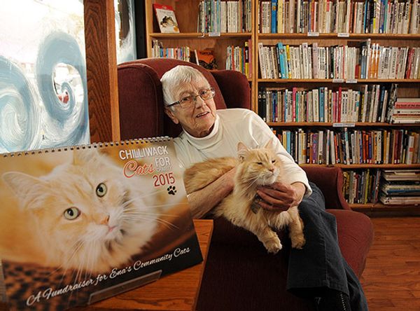 Ena's Community Cats