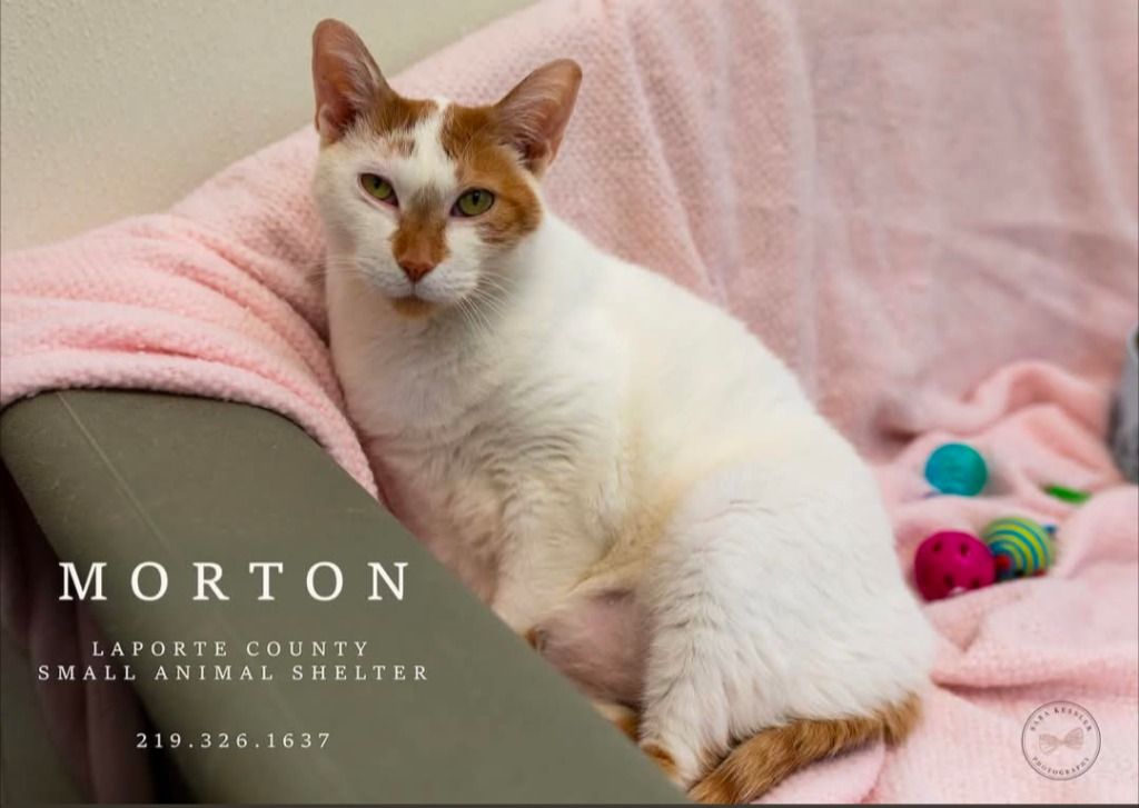 LaPorte County Small Animal Shelter