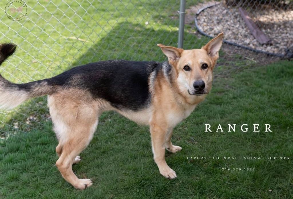 LaPorte County Small Animal Shelter