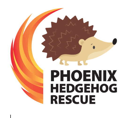 Phoenix Hedgehog Rescue