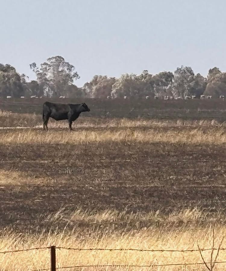 Victorian Farmers Federation Disaster Relief Fund