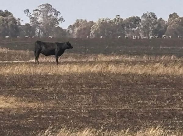 Victorian Farmers Federation Disaster Relief Fund