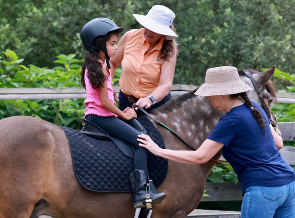 Emerald Hollow Therapeutic Riding Center