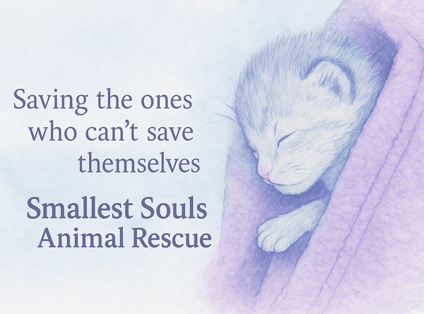 Smallest Souls Animal Rescue