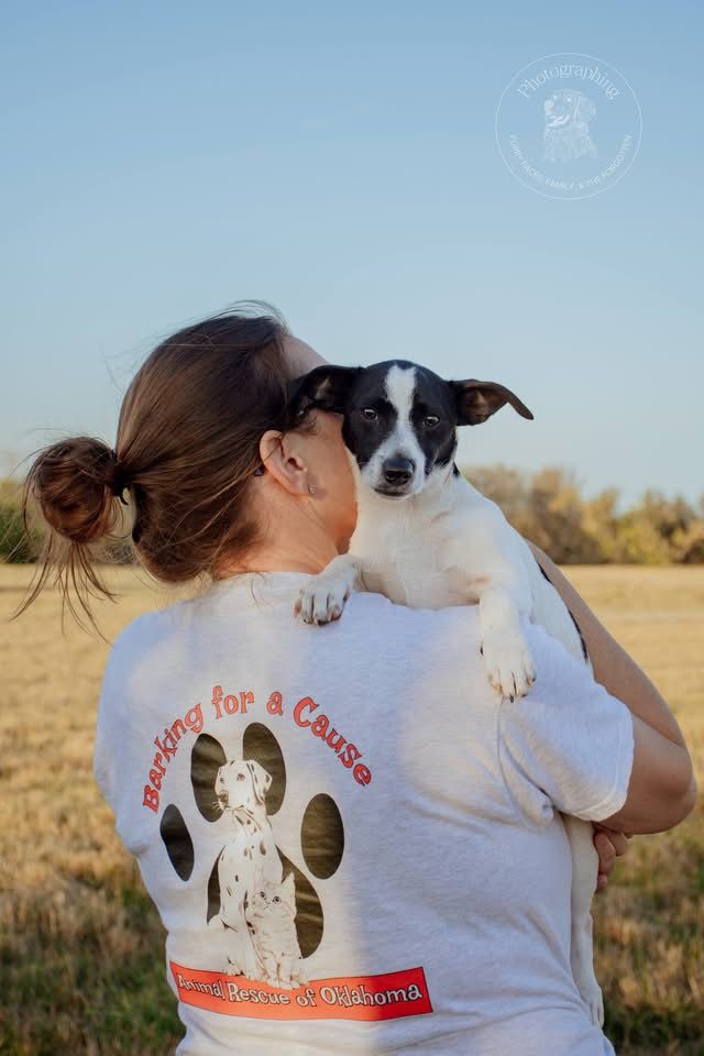 Barking for A Cause Animal Rescue of Oklahoma