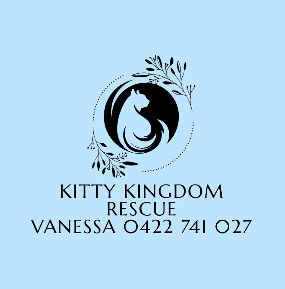 Kitty Kingdom Rescue
