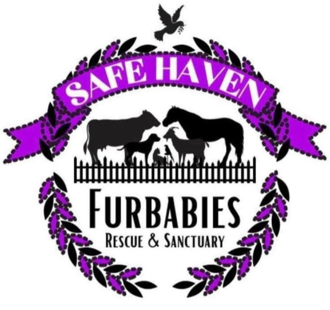 Safe Haven Furbabies Sanctuary and Rescue Inc.