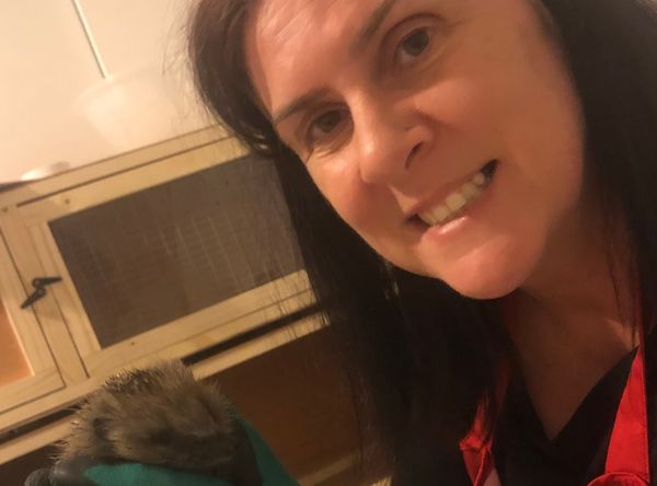 Midlothian Hedgehog Rescue & Rehabilitation