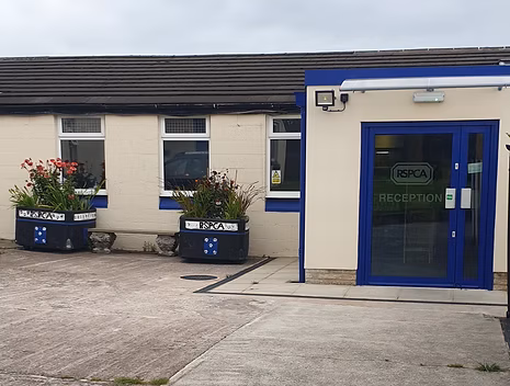 RSPCA Accrington