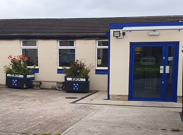RSPCA Accrington