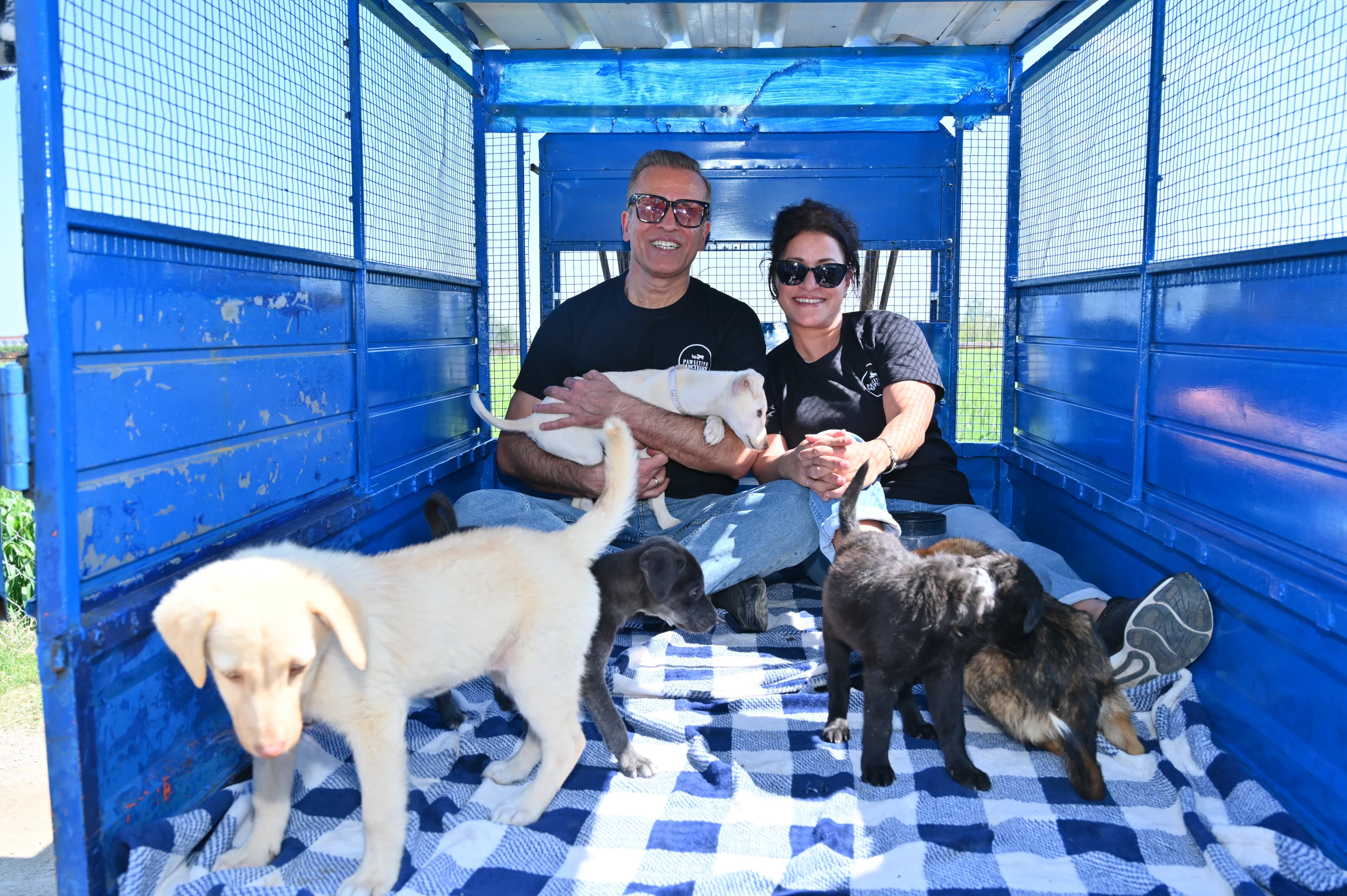 Pawsitive Sanctuary Inc