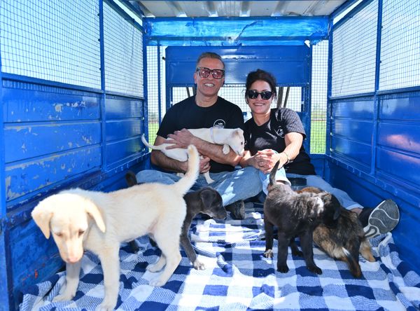 Pawsitive Sanctuary Inc