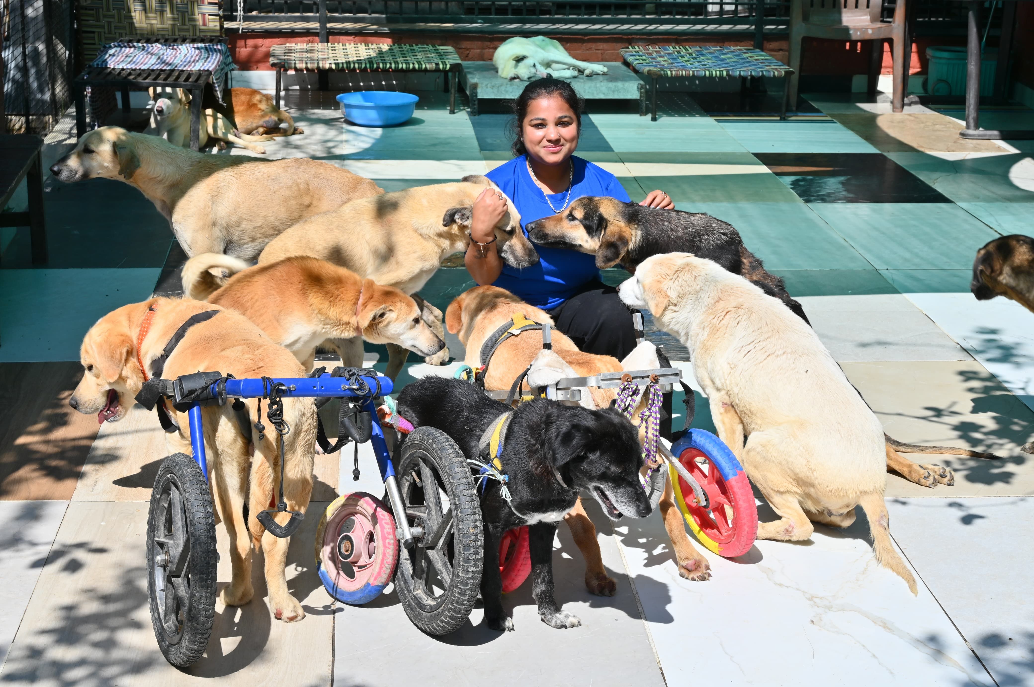 Pawsitive Sanctuary Inc