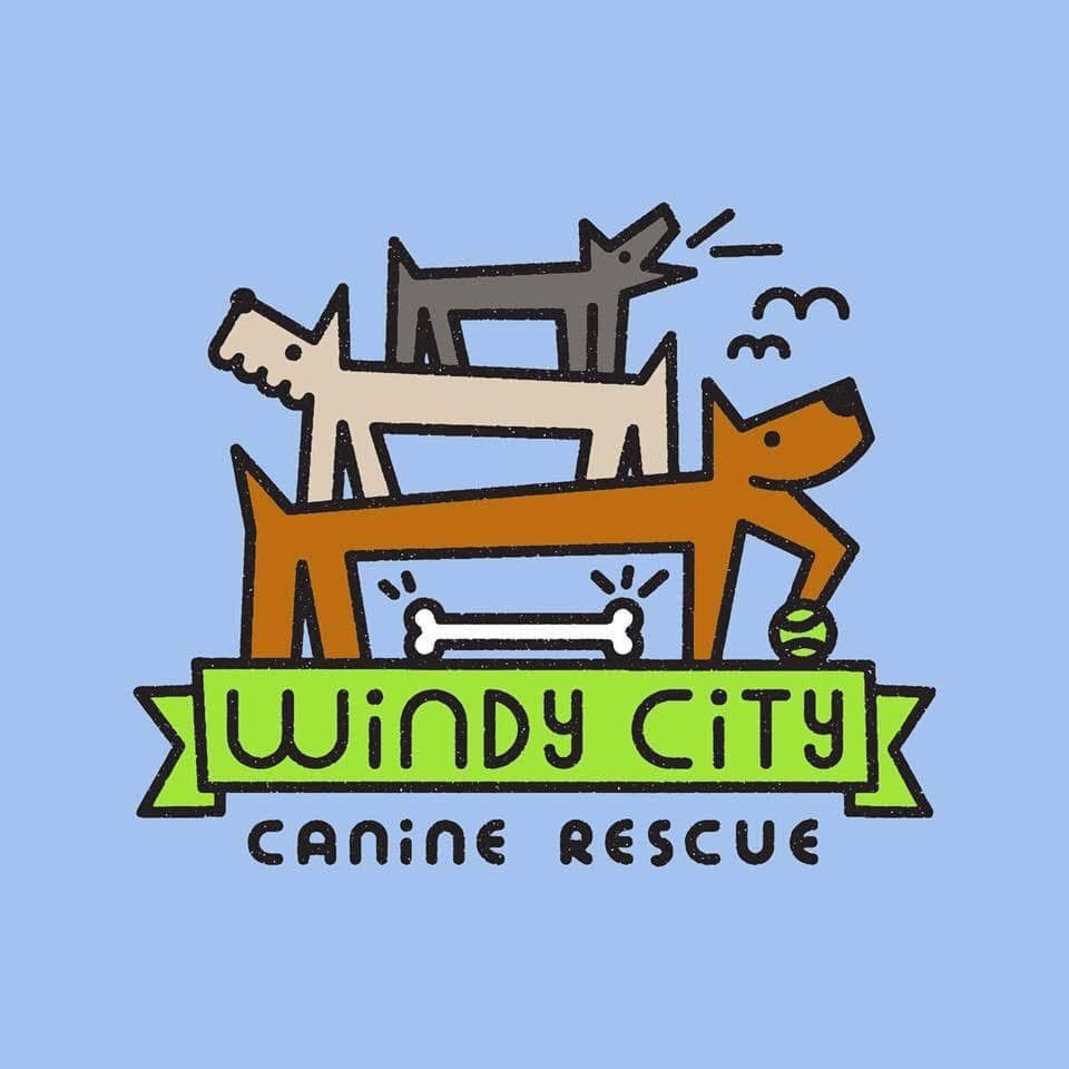WINDY CITY Dog rescue