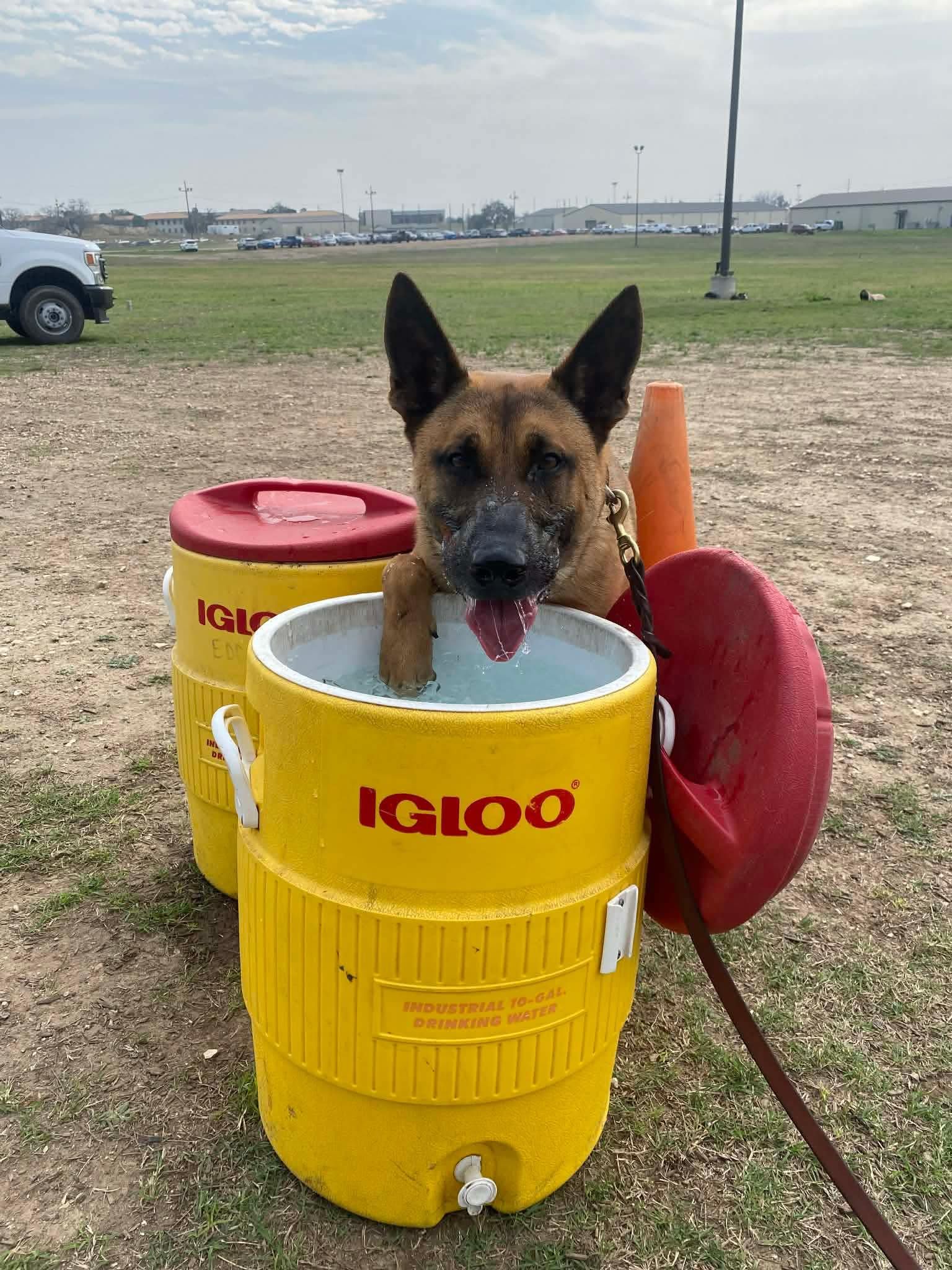 K9 Legacy Project