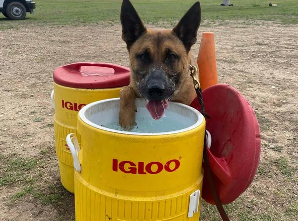 K9 Legacy Project