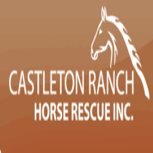 Castleton Ranch Horse Rescue Inc