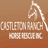 Castleton Ranch Horse Rescue Inc