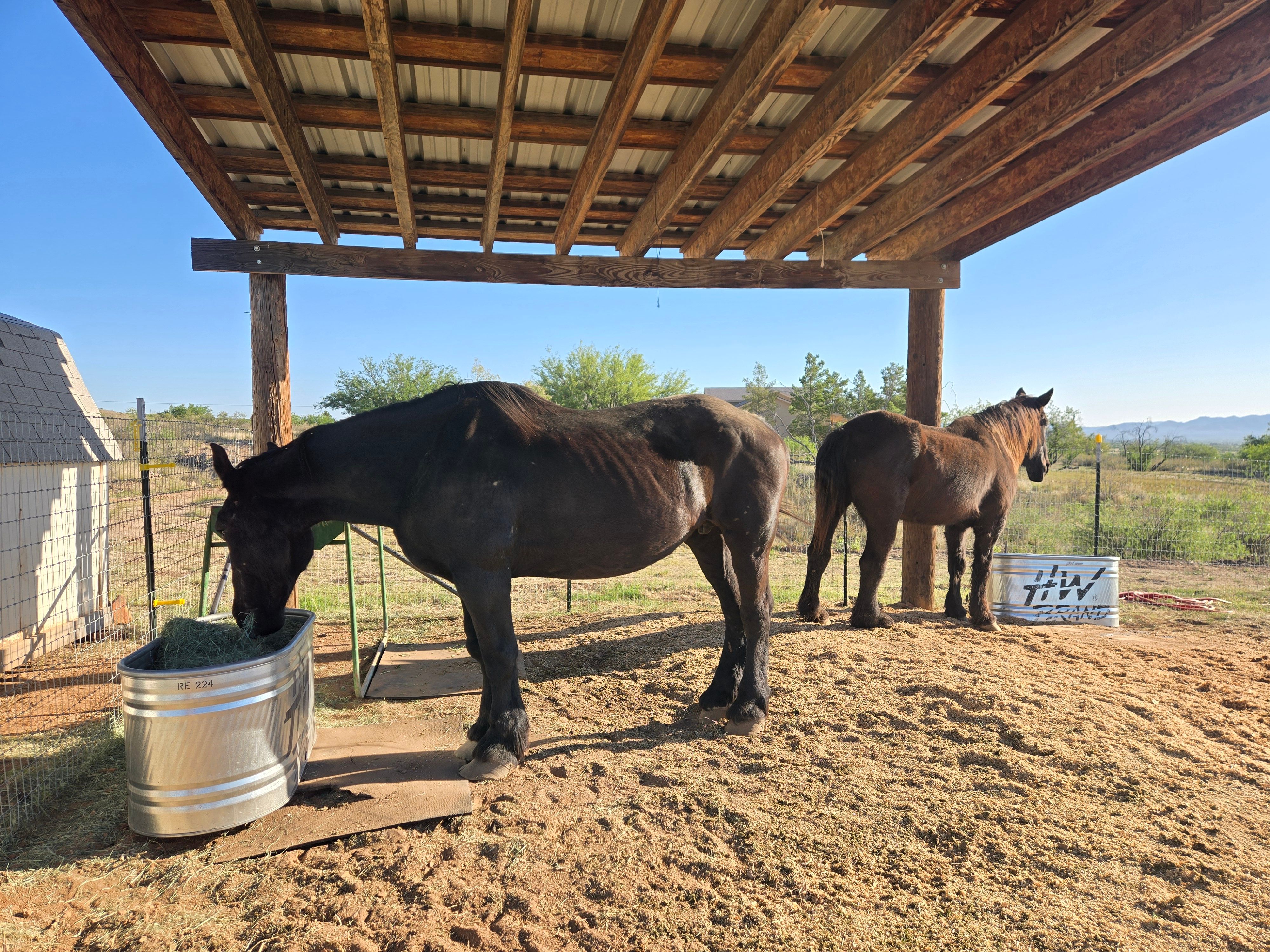 Safe Hands Sanctuary Inc