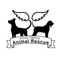 Annie Oakley Animal Rescue