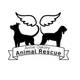Annie Oakley Animal Rescue