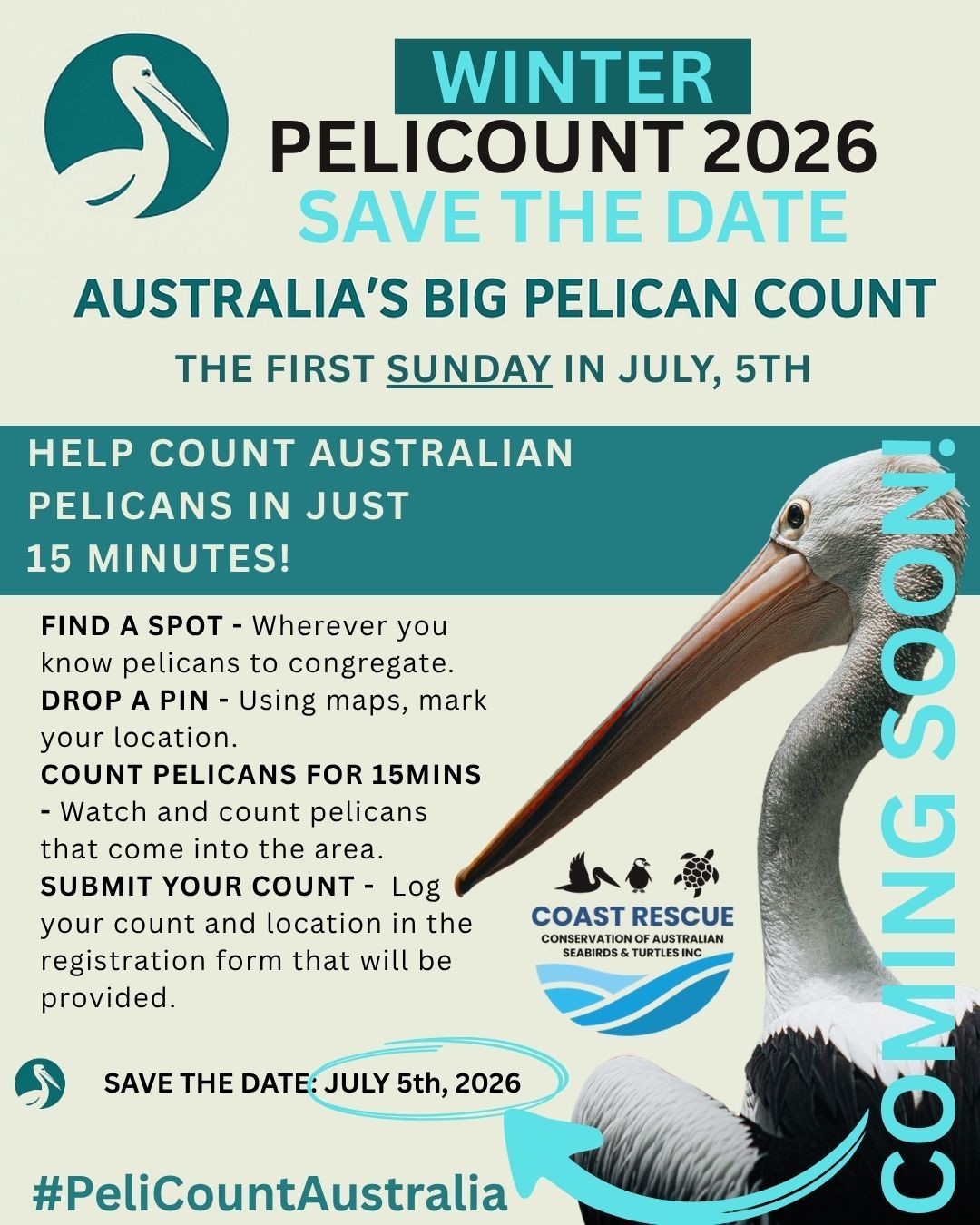 Conservation of Australian Seabirds & Turtles Inc.
