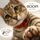 Quiet Paws Creations