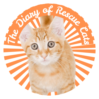 The Diary of Rescue Cats