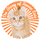 The Diary of Rescue Cats