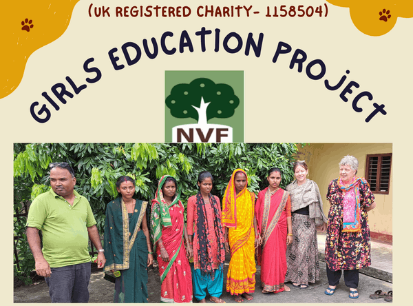 Nepal Village Foundation