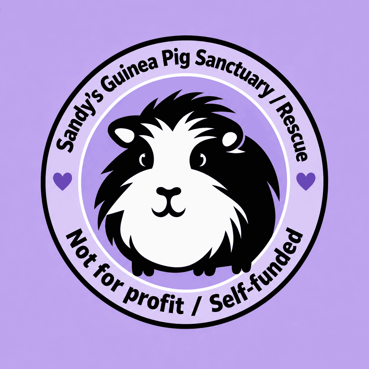 Sandy's Guinea pig Sanctuary/Rescue