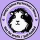 Sandy's Guinea pig Sanctuary/Rescue