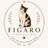 Figaro Foundation