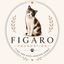 Figaro Foundation