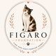 Figaro Foundation