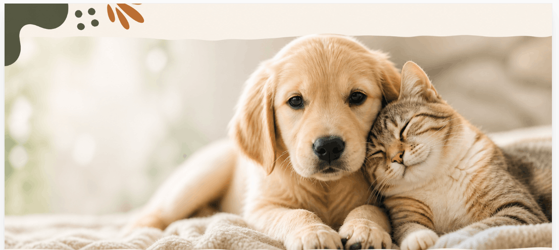 Figaro Foundation