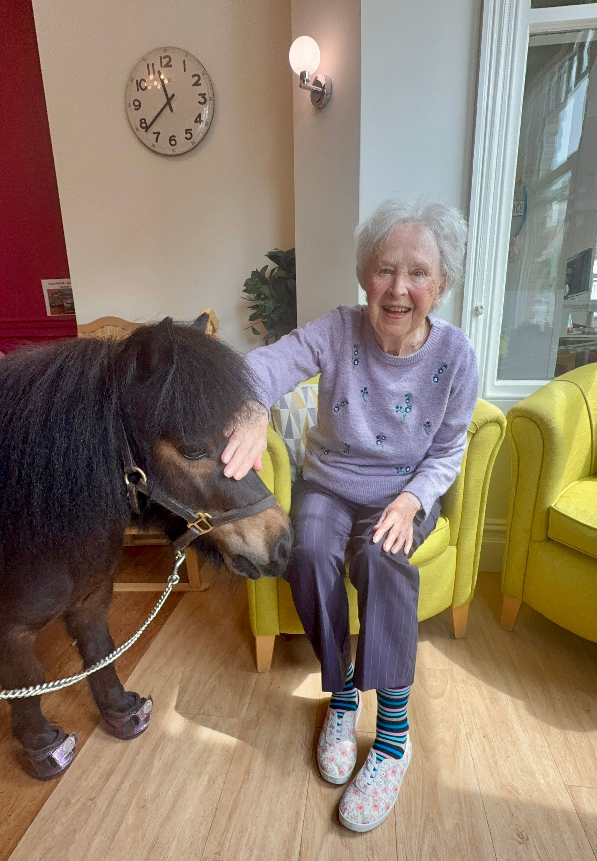 Community Pony CIC