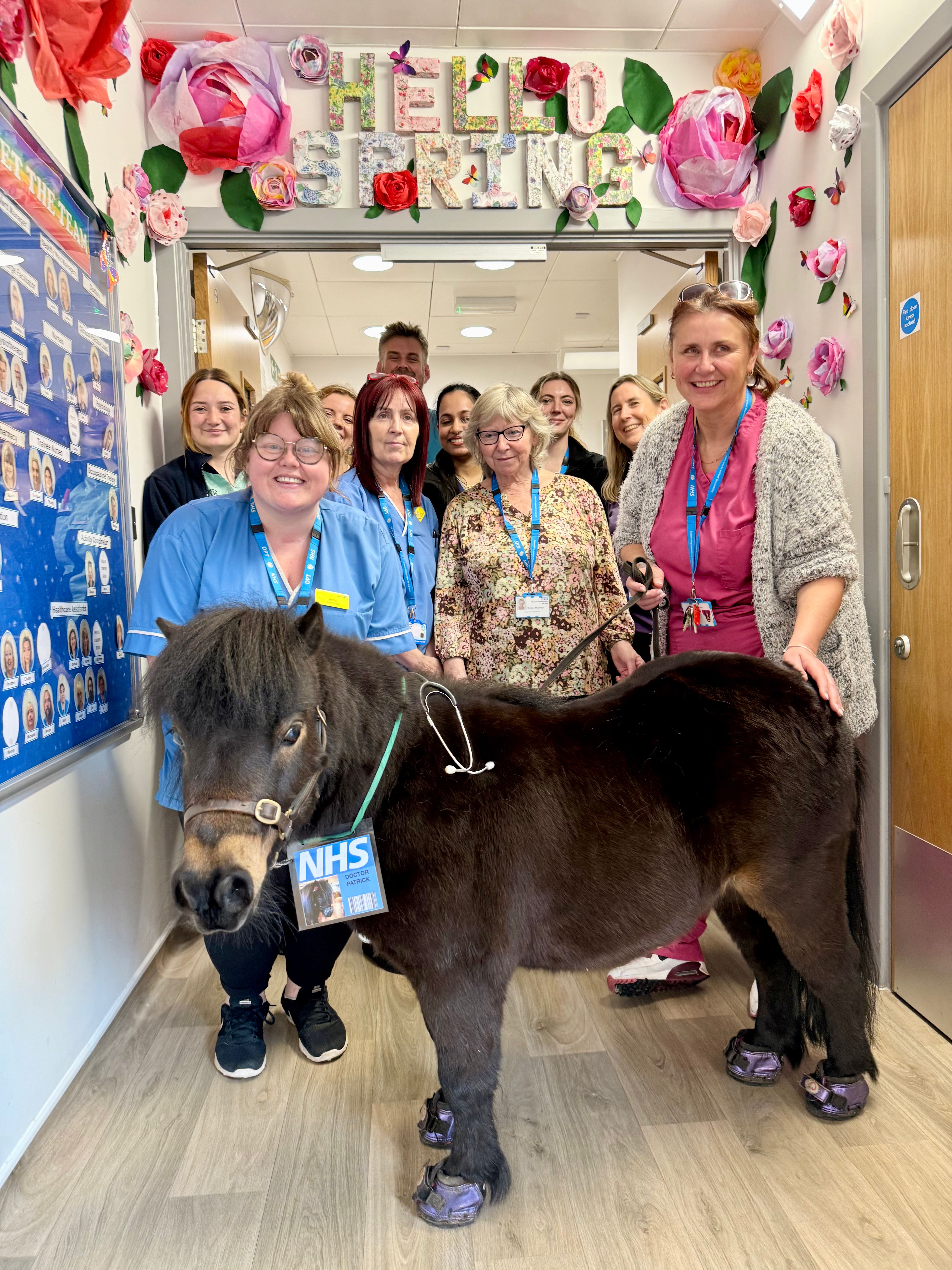 Community Pony CIC