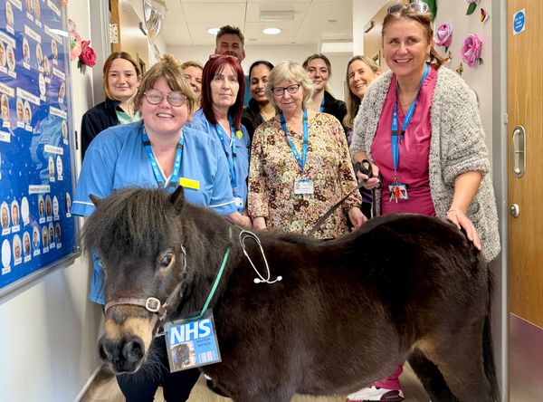 Community Pony CIC